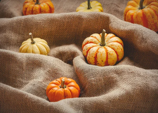 Orangefarbene Kürbisse Auf Zerknautschtem Sacktuch Herbstzeit — Stockfoto