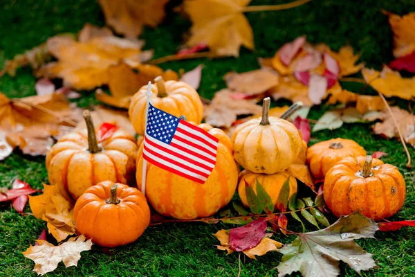 Group of pumpkins and American flag on green lawn. Side view. Autumn season time