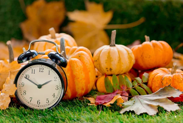 Groep Van Pompoenen Wekker Groen Gazon Zijaanzicht Herfst Seizoen Tijd Stockfoto