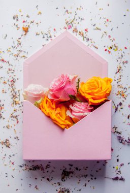 büyük zarf gül ve lavanta yaprakları beyaz arka plan üzerinde. Görünümünün üst