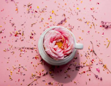 Gül bud ve lavanta ile çay yaprakları, pembe bir arka plan üzerinde yaprakları. Görünümünün üst