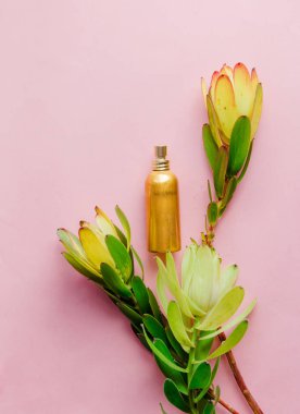 Yeşil leucadendron protea bir parfüm şişeleri 