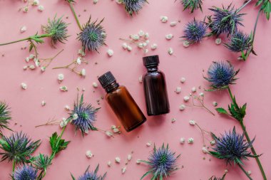 Mavi eryngium çiçekler ve parfüm 