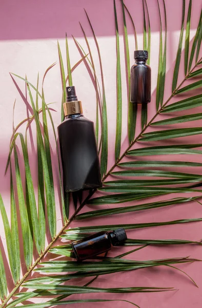 Пальмовый лист и темные стеклянные бутылки на розовом фоне — стоковое фото