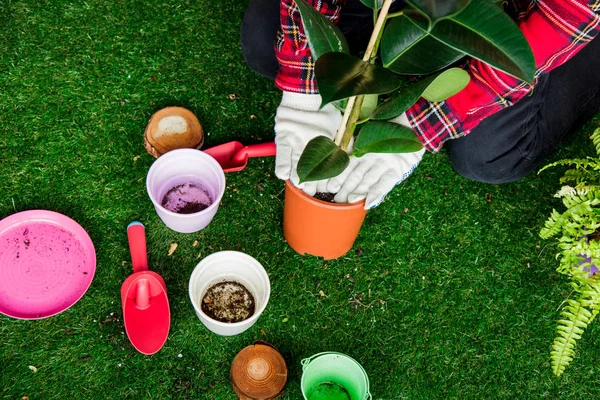 Páfrány, a pot és a lapát ember készül, zöld kert — Stock Fotó