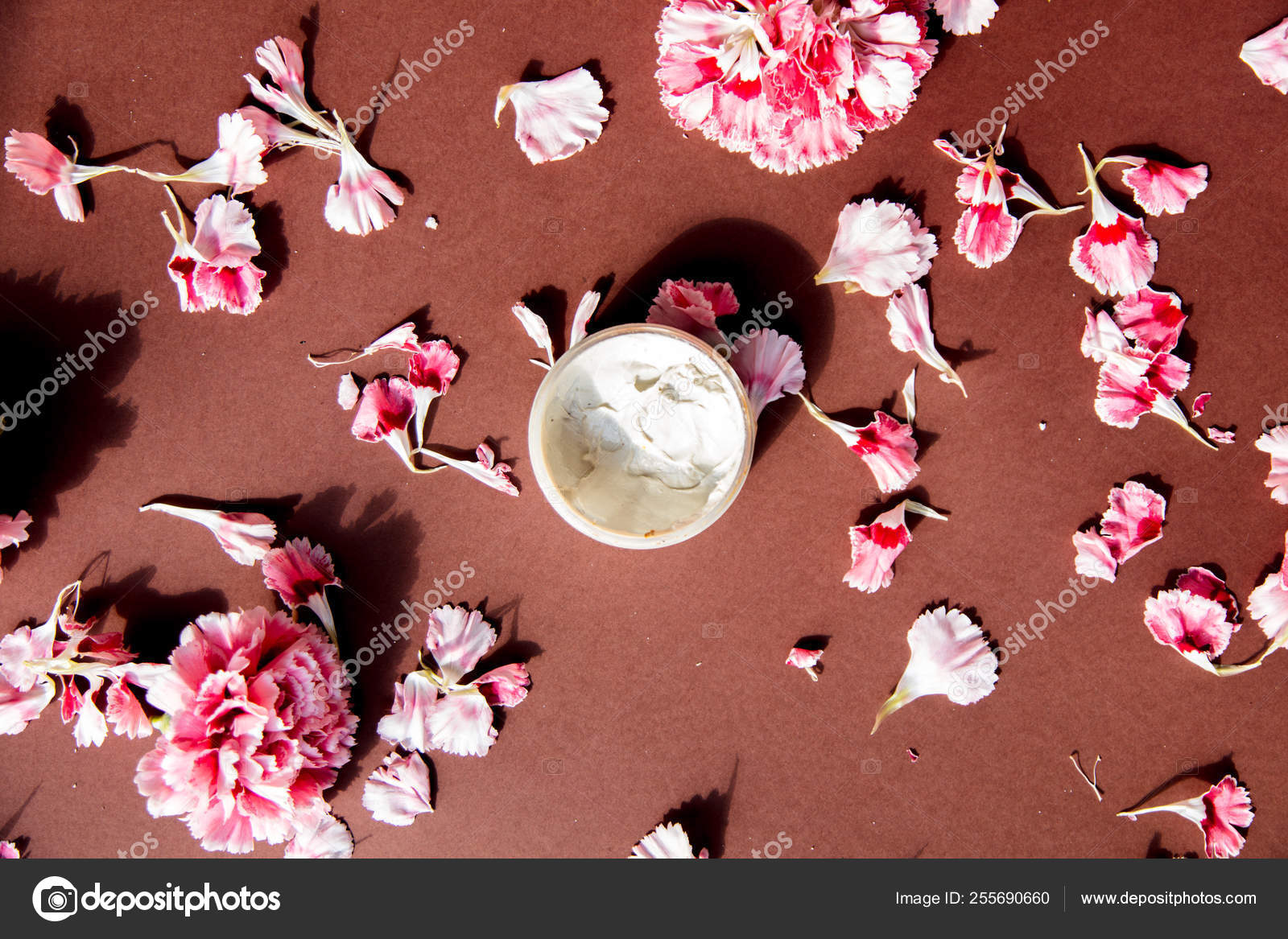 Cravo pétalas de flores e creme de cuidados da pele fotos, imagens de ©  VeraSimon #255690660