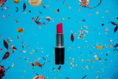 Mavi arka planda çiçekler ve kırmızı ruj ile Kuru Bellis ot