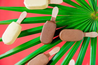 Palmiye yaprakları ile çikolata ve krem dondurmalar