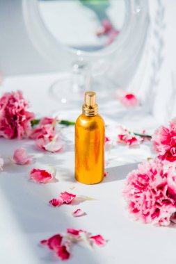 Ayna ve Dianthus çiçekler ile parfüm şişesi