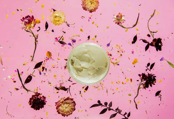 Droge Bellis kruid met bloemen en huidverzorging crème op roze backgro — Stockfoto