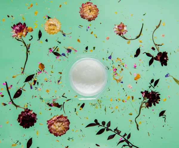 Hierba de Bellis seca con flores y crema para el cuidado de la piel sobre fondo verde —  Fotos de Stock