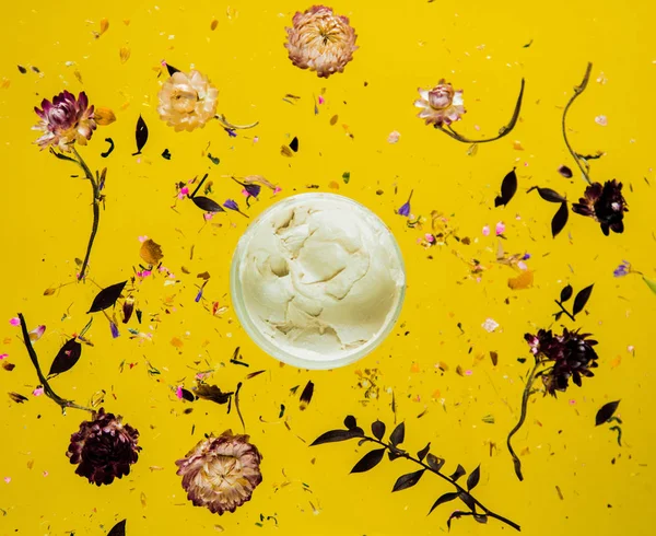 Droge Bellis kruid met bloemen en huidverzorging crème op gele backg — Stockfoto