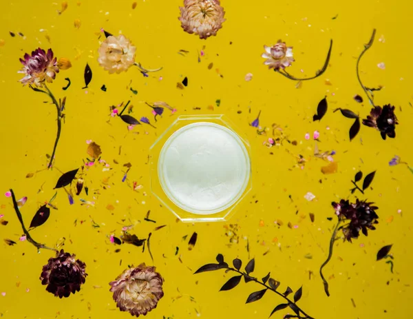 Hierba de Bellis seca con flores y crema para el cuidado de la piel en el respaldo amarillo —  Fotos de Stock