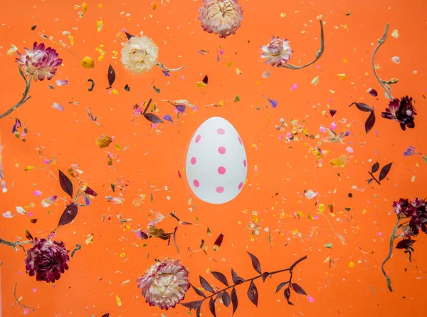 Сухая трава Беллис с цветами и пасхальное яйцо на оранжевом фоне — стоковое фото