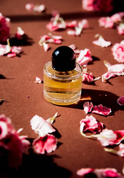 Clavel pétalos de flores y frasco de perfume — Foto de Stock
