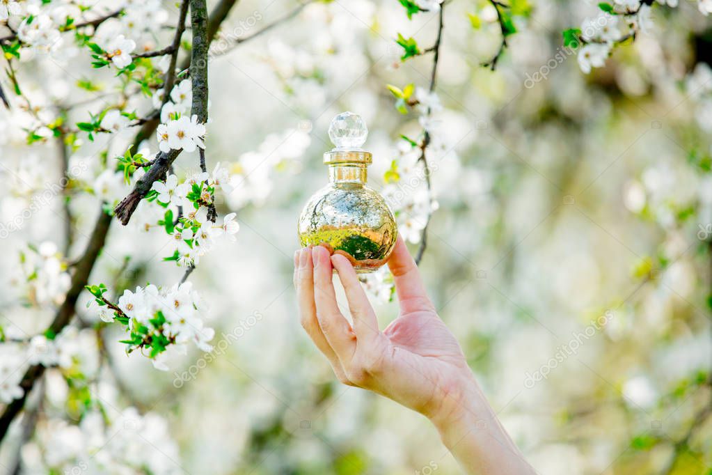 Female hand holding perfume bottle near flowering tree.