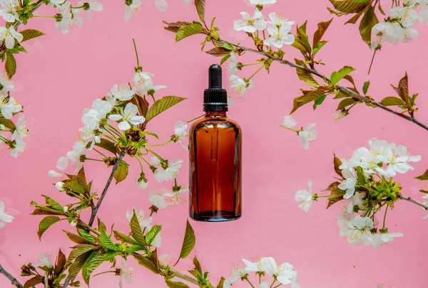 Парфюмерная бутылка и цветы вишневой ветви — стоковое фото