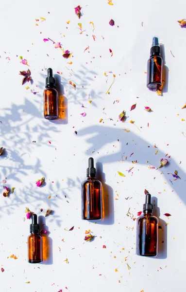 Parfüm ve kuru çiçekler için siyah cam şişeler — Stok fotoğraf