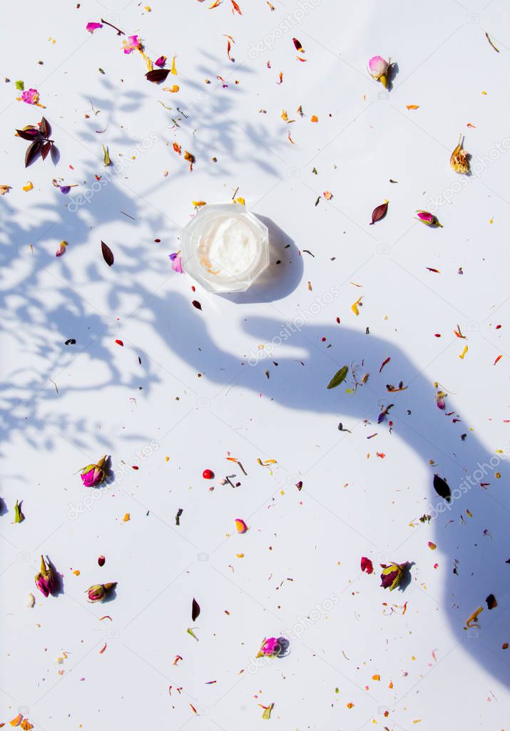 Cream jar and dry flowers on white background. 