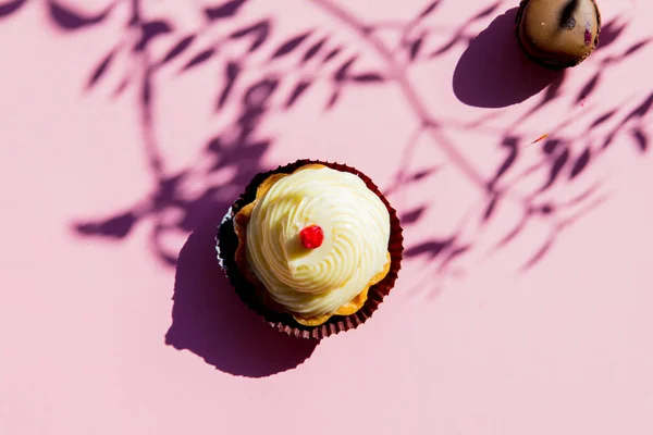 Crème gâteau et branches ombres sur fond rose — Photo