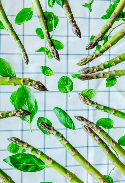 Espárragos verdes frescos y hojas de albahaca sobre material escocés — Foto de Stock