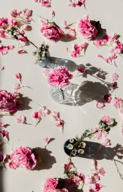 doğal gölgeler ile bir bardak dianthus yaprakları