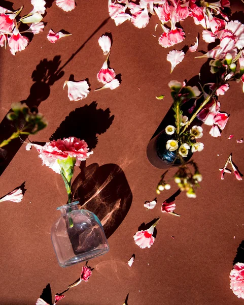 Dianthus-Blüten und Blütenblätter auf braunem Hintergrund. — Stockfoto