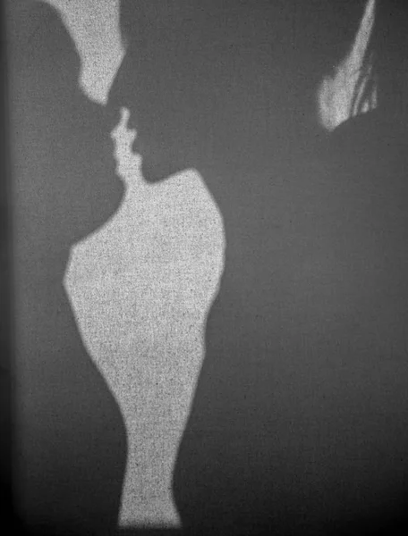 Shadows of two lesbian women on sheet before kissing. — Stock Photo, Image