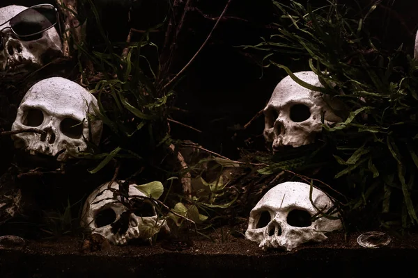 Kafatasları ile bazı bitcoins yerdeki su altında