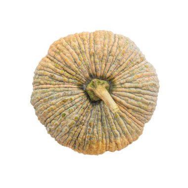 Ham Tay balkabağı. Beyaz, en iyi görünüm izole