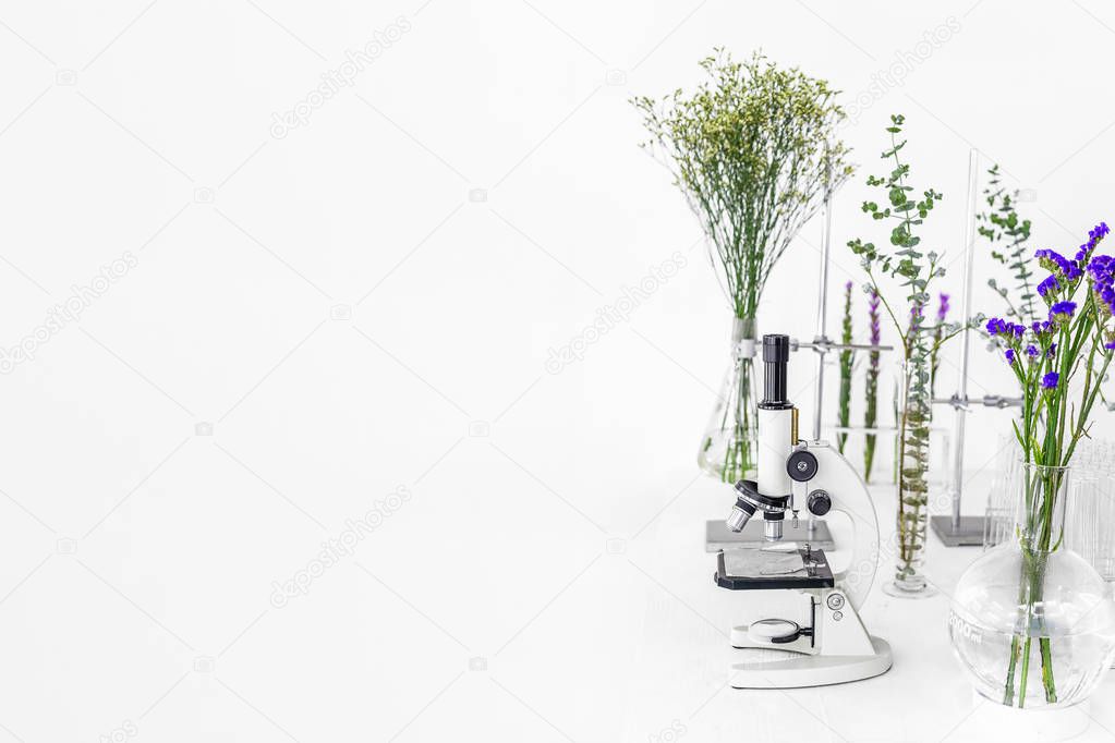 Green plants and scientific equipment in biology laborotary. Microscope with test tubes / glass containers and clamp and green plants and flowers in a white background lab.