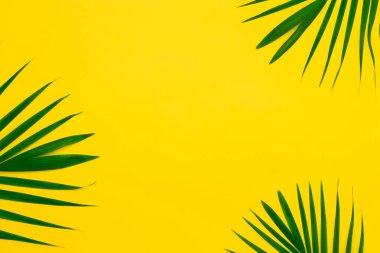 Yeşil palmiye ağacının Sarı zemin üzerine bırakır. Düz en az yatıyordu