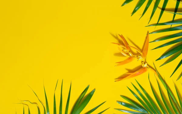 Grüne Blätter von Palme und Helikonia-Blume auf gelbem Rücken — Stockfoto