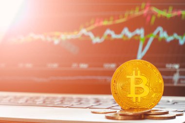Bitcoin Btc cryptocurrencies ile yükselen boğa grafik dizüstü di