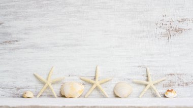 Grunge beyaz ahşap arka plan üzerinde deniz kabukları ve denizyıldızı. Abstr