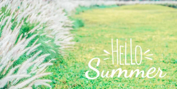 Hello Summer background concept. Beautiful green grass flower na