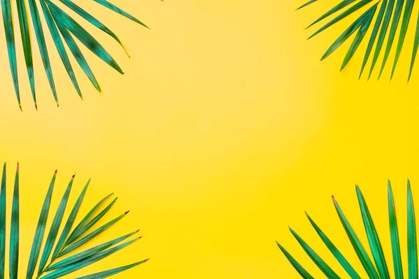 Grüne Blätter einer Palme auf gelbem Hintergrund. flache Lage minimal — Stockfoto