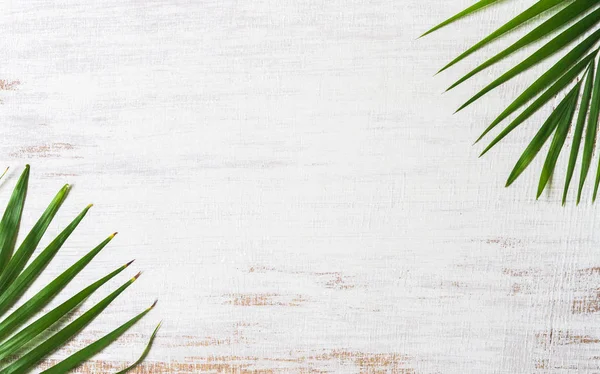 Grüne Natur tropische Palmenblätter auf Grunge-Hintergrund aus weißem Holz — Stockfoto