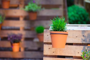 DIY çiçek saksıları için geri dönüştürülmüş ahşap palet. Bahçe işlerinde kullanılan sanayi paleti, saksılar için bir raf olarak kullanılıyor. Geri dönüştürülmüş ahşap paletlerden yapılmış bahçeleri vardır.