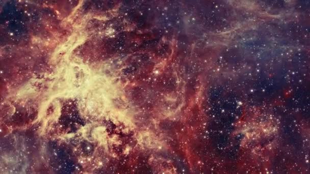 Viaggio Tarantola Nebulosa Campo Stellare Nube Cosmica Turbolenza Nello Spazio — Video Stock