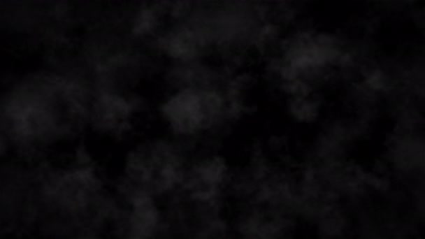 Бесшовный Цикл Анимации Серый Черный Дым Черном Фоне Зацикленное Туманное — стоковое видео