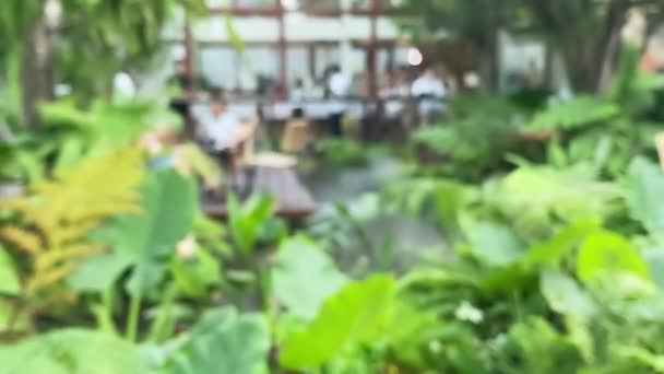 Fokus Videofilmer Suddig Tropisk Grön Trädgård Med Människor Umgås Koppla — Stockvideo