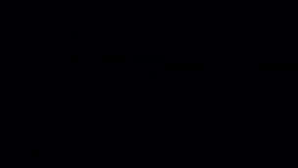 Neon Jasny Świecący Licznik Czasu Odliczania Sekund Izolowany Czarno Kanałem — Wideo stockowe