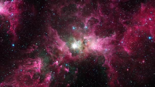 Voo Espacial Para Campo Estelar Carina Nebula Com Estrela Brilhante — Vídeo de Stock