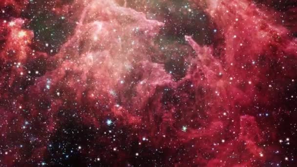 Renderização Sem Costura Looping Voo Espacial Campo Estelar Carina Nebula — Vídeo de Stock