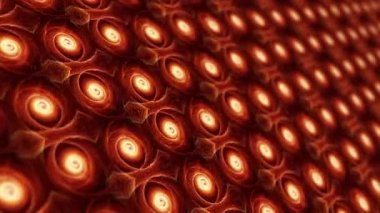 Soyut fütüristik teknoloji desenli optik illüzyon sarmal dikişsiz hipnotik halkalar hiç bitmeyen arka plan. 4K 3D görüntüleme çemberleri satır düzeninde hipnotize etme illüzyon hareketi.