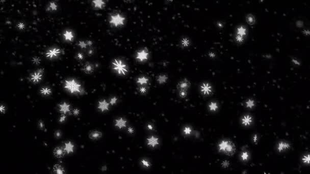 Düşen Kar Taneleri Yüzen Parlak Parçacıkların Işıklarıyla Güzel Soyut Kış — Stok video