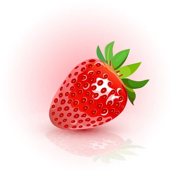 Rote, reife Erdbeeren. Erdbeerweißer Hintergrund. Vektorillustration. — Stockvektor