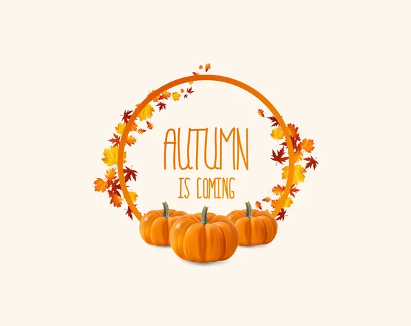 Herbstblätter — Stockvektor