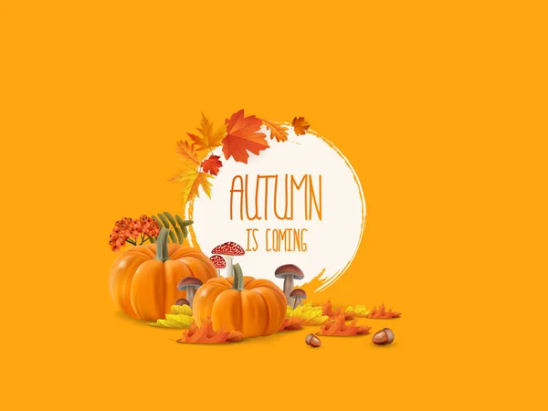 Automne Arrive Avec Feuilles Citrouilles Illustration Vectorielle — Image vectorielle